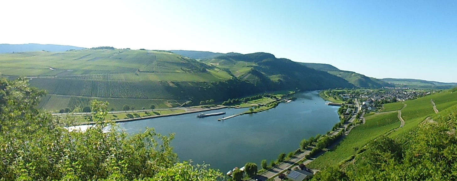 Moselstellplatz Wintrich Galerie